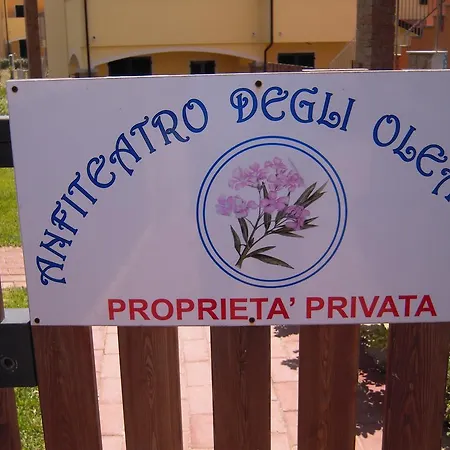 Apartment Orchidea